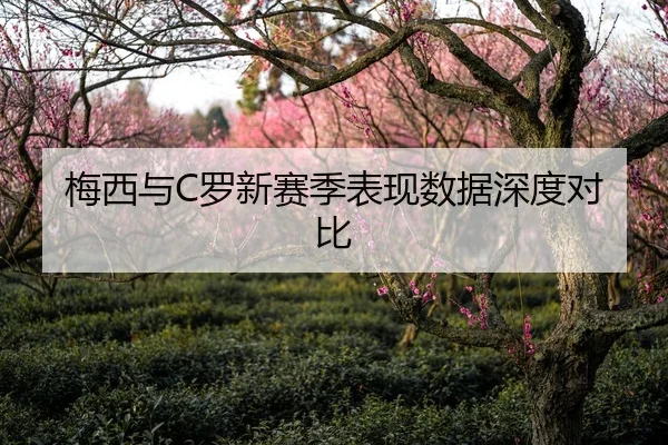 梅西与C罗新赛季表现数据深度对比
