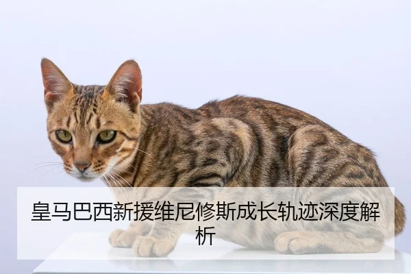 皇马巴西新援维尼修斯成长轨迹深度解析